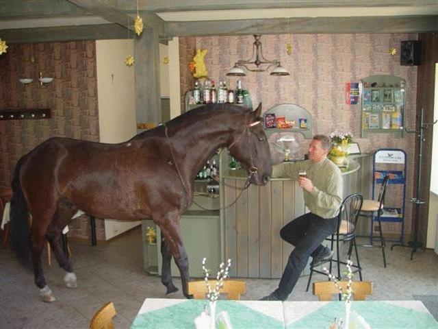ホテル アリツィア ウッチ エクステリア 写真